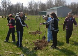 Actions “Clean Environment” and “Plant a Tree”